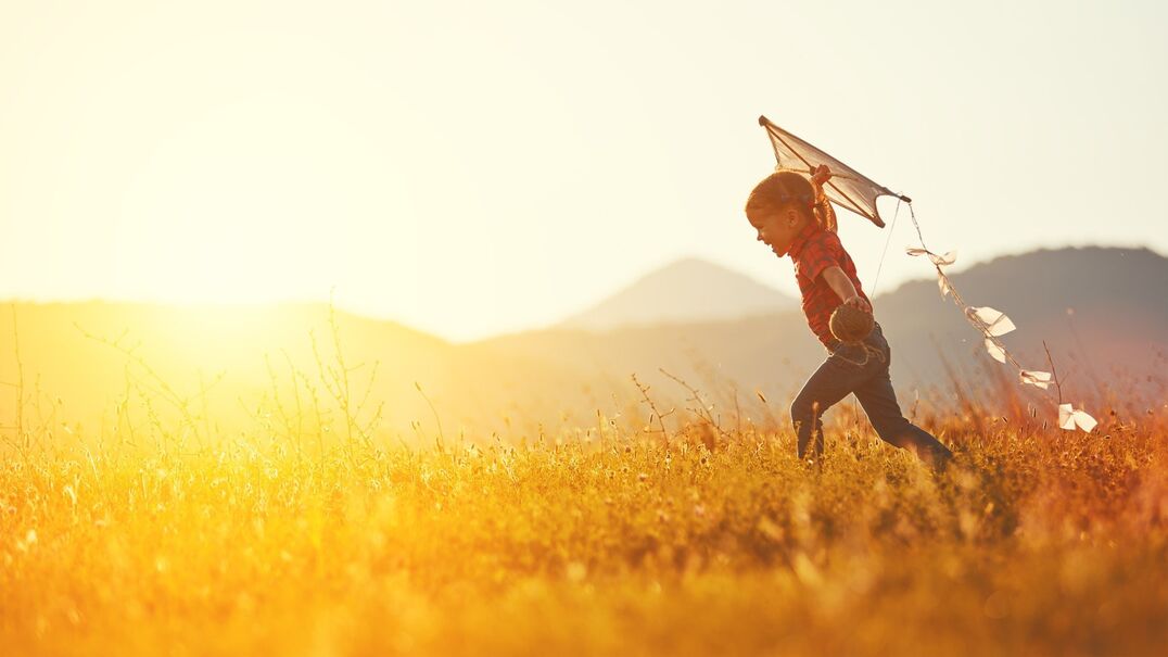 child flying a kite in a paddock